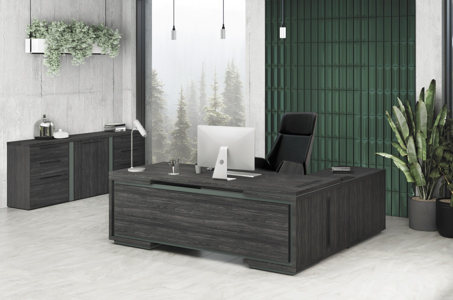 Кабинет руководителя «Гринвуд»