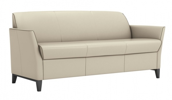 Трёхместный диван AC-M263DG