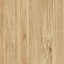 cat_detail_color_1
