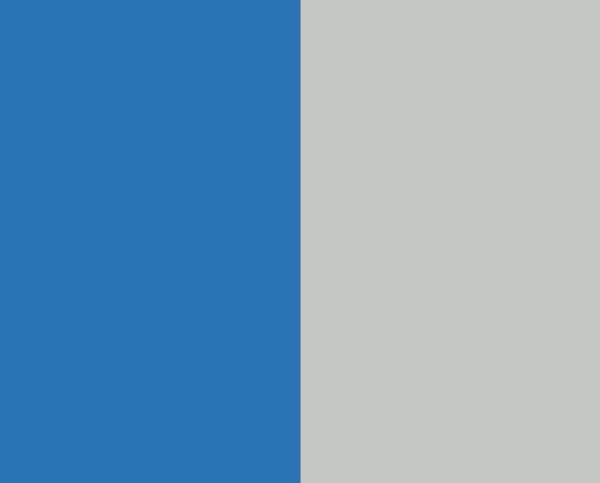 цвет: синий RAL5015/св.серыйRAL7035