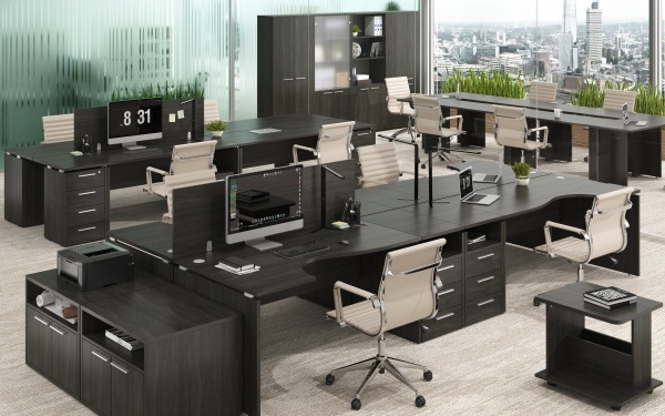 Офисная мебель "Дубна", цвет: Карбон