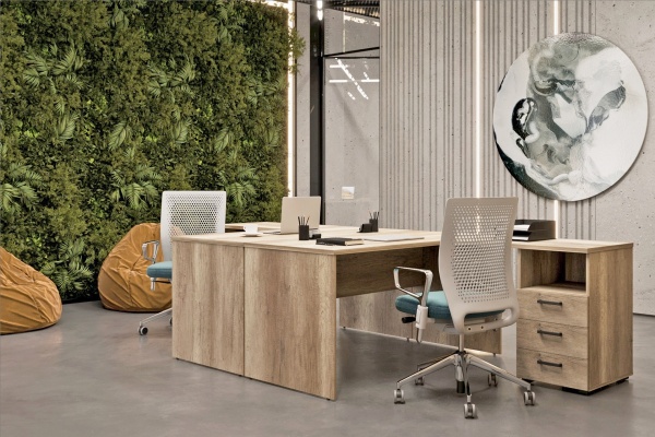 Офисная мебель «Lemo», цвет: «Дуб Каньон» 